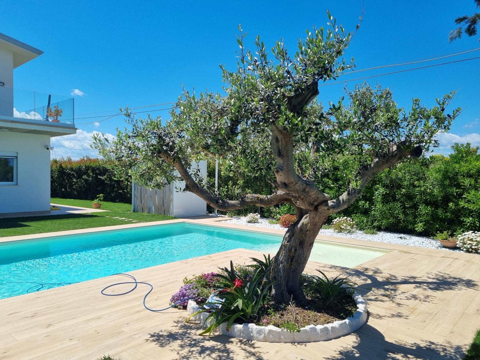 Carezza Del Mare Villa Torino di Sangro Dış mekan fotoğraf